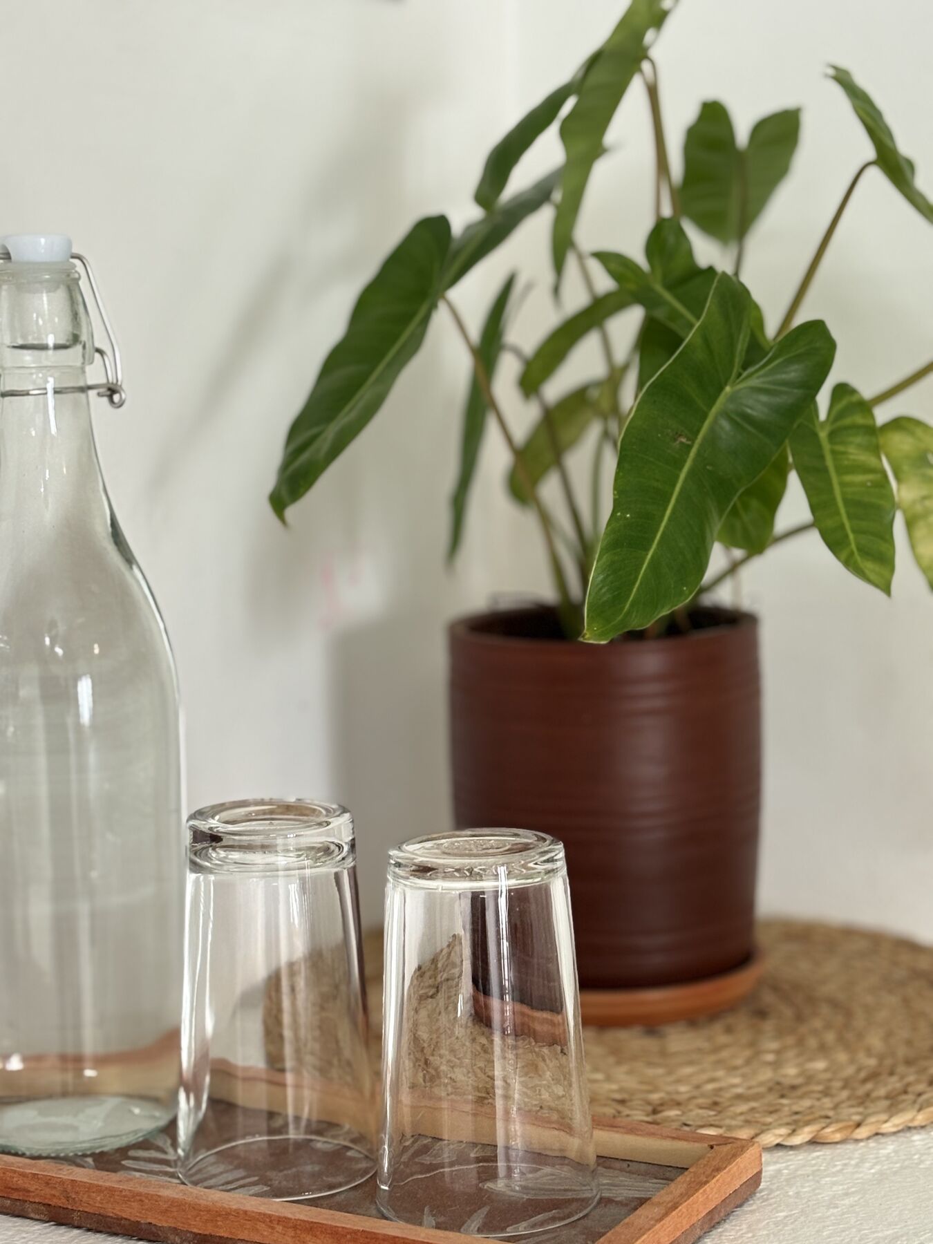 A glass water carafe and tumblers on a wooden tray beside a potted plant