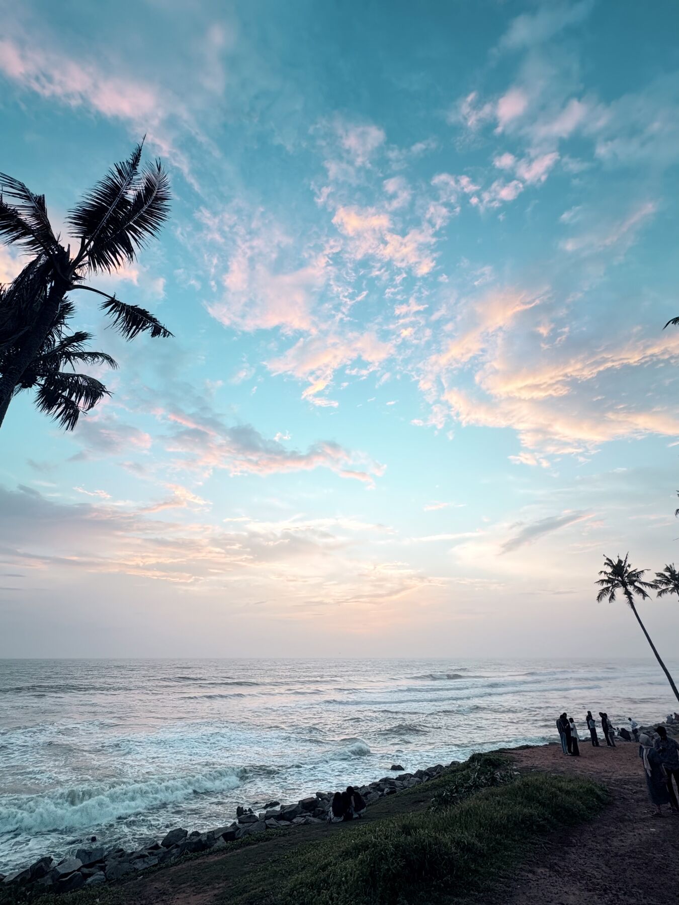 The Varkala cliff edge at first light with palms leaning over the Arabian Sea